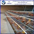 China export Type a chicken layer cages for sale